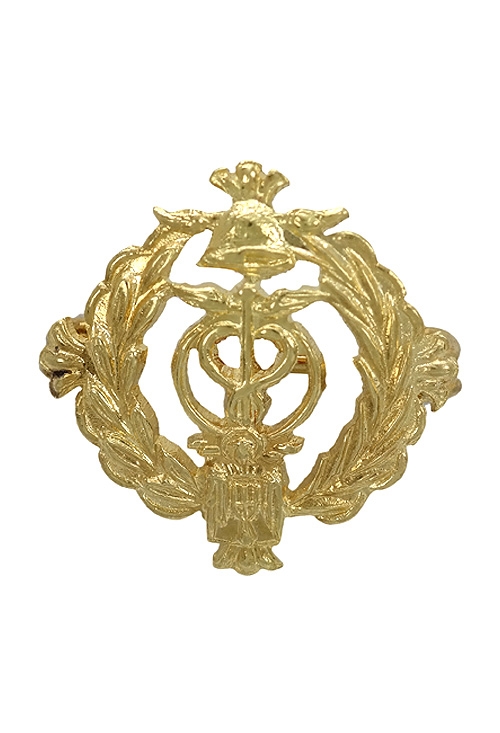 insignia oro amarillo 18 ktes agente comercial foto frontal 037_50-001-AC