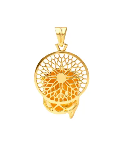 medalla de oro santa faz velazquez 049_0056_01