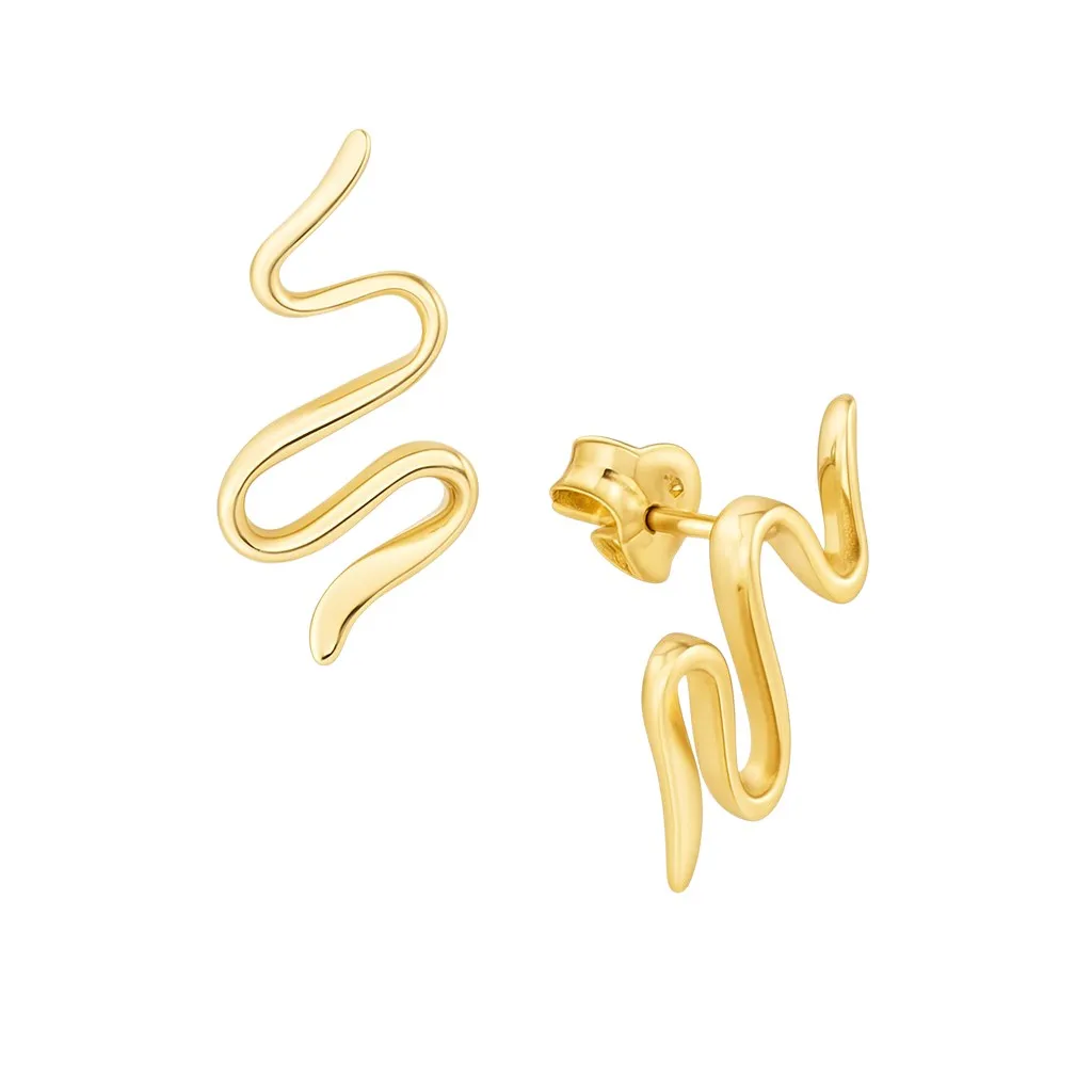 pendientes-de-plata-chapada-serpenteantes-266_014647-2-1