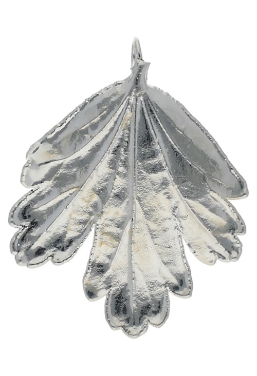 colgante hoja natural del grosellero bañada en plata 270_GROSELLA-4-4