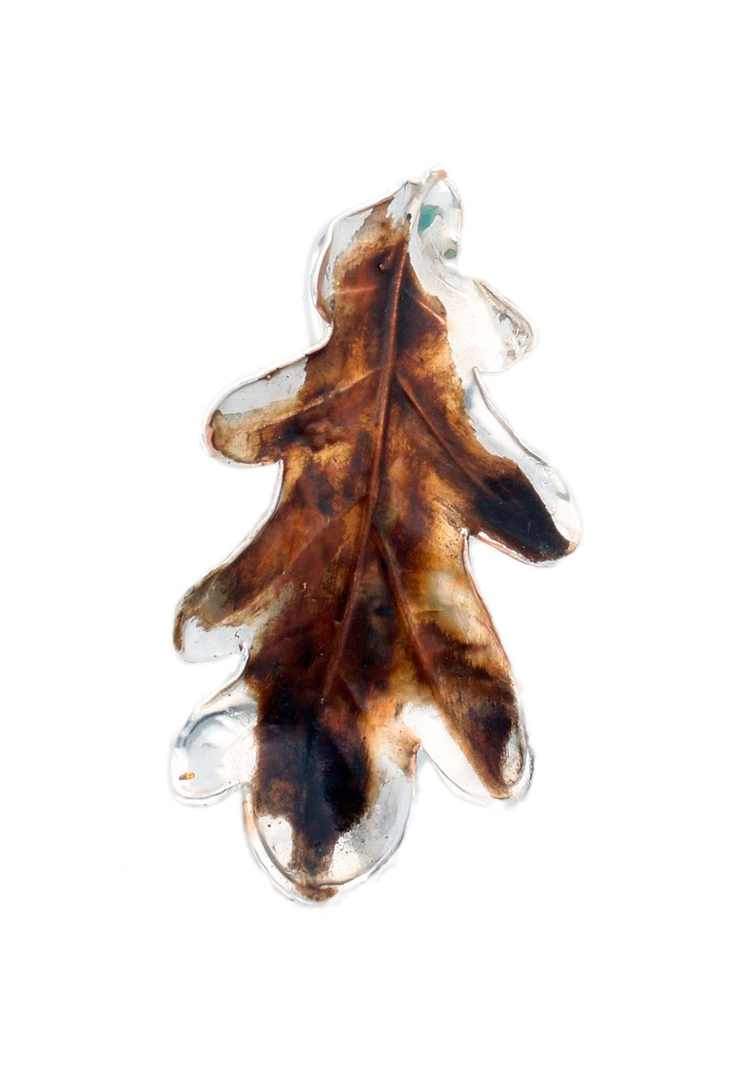 hoja de roble natural metalizada con baño de plata fotografia delantera