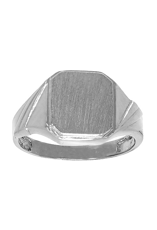 sello de plata para hombre vista frontal 291_SE6880R