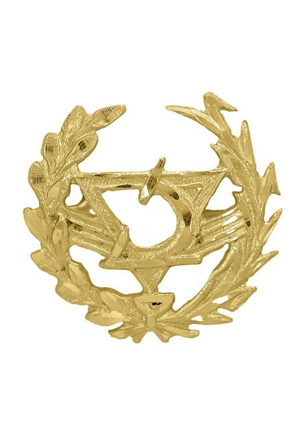 insignia de oro 18 kilates optica foto principal precio barato joyeria online 085_4268-OPT