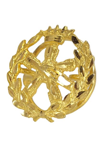 insignia de oro 18 ktes aeronautica foto con solapera 085_4268-AER_01