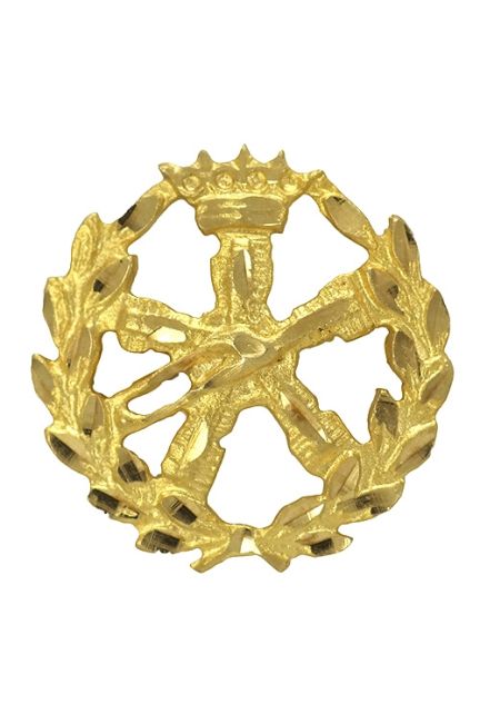 insignia de oro 18 ktes aeronautica foto frontal 085_4268-AER