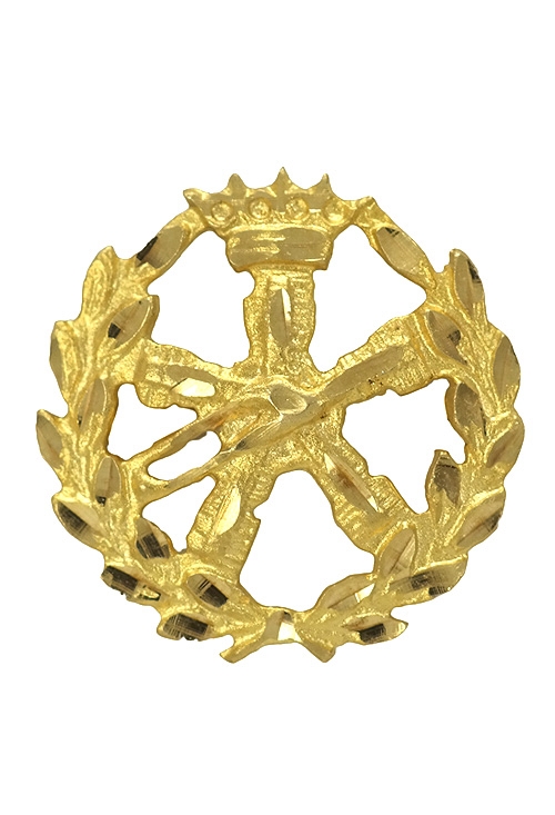 insignia de oro 18 ktes aeronautica foto frontal 085_4268-AER