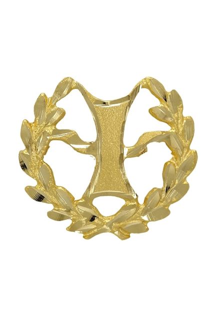 insignia de oro 18 ktes carrera de psicologia foto frontal 085_4268-PSI