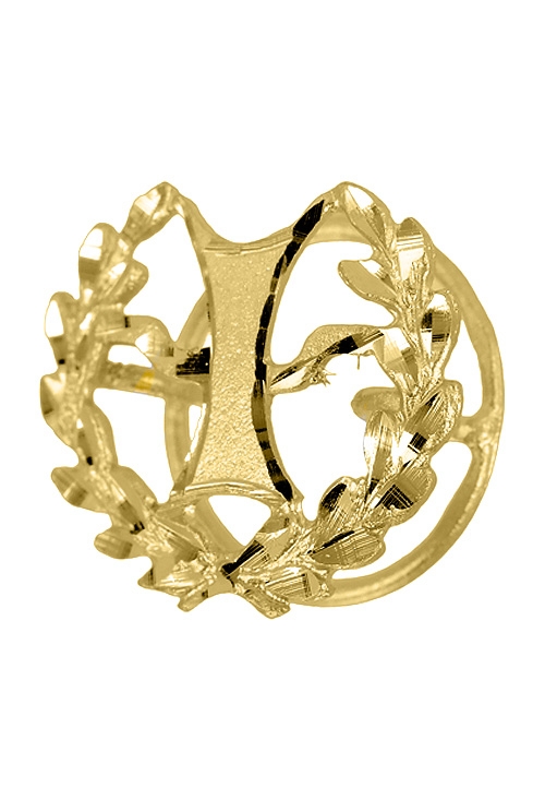 insignia de oro 18 ktes carrera de psicologia foto lateral 085_4268-PSI_01