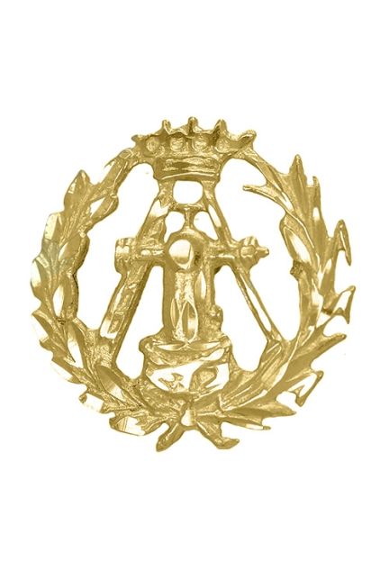 insignia de oro 18 ktes topografia vista frontal precio barato joyería online 085_4268-TOP