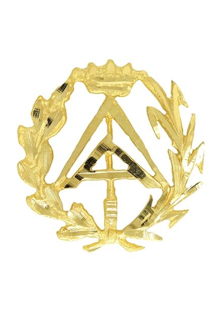 insignia de oro aparejador foto frontal 085_4268-APA