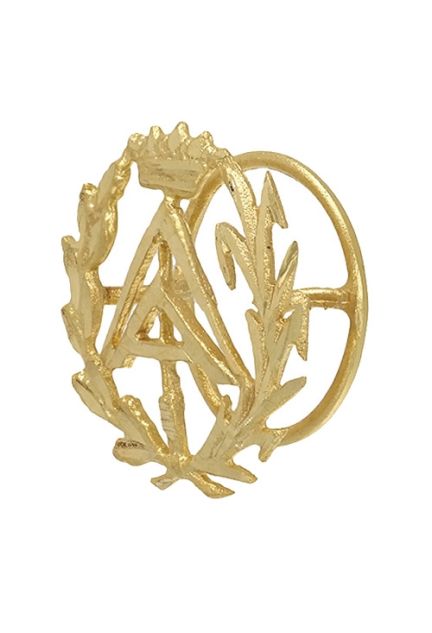 insignia de oro aparejador foto lateral 085_4268-APA_01