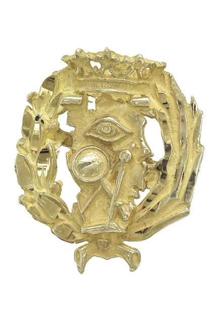 insignia de solapa oro amarillo 18 kilates Ciencias Exactas o matematicas vista frontal 190_SOLAPA-CE_01