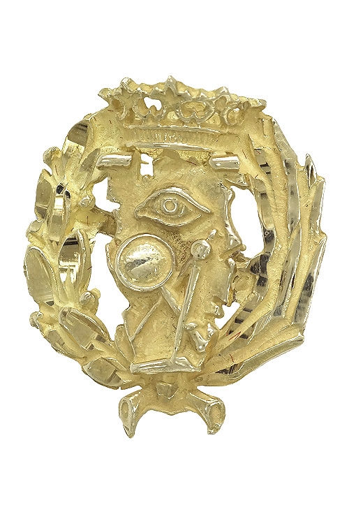 insignia de solapa oro amarillo 18 kilates Ciencias Exactas o matematicas vista frontal 190_SOLAPA-CE_01