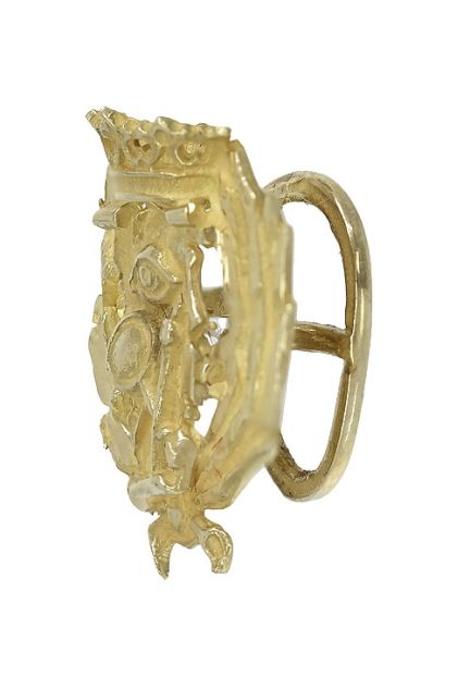 insignia de solapa oro amarillo 18 kilates Ciencias Exactas o matematicas vista lateral 190_SOLAPA-CE