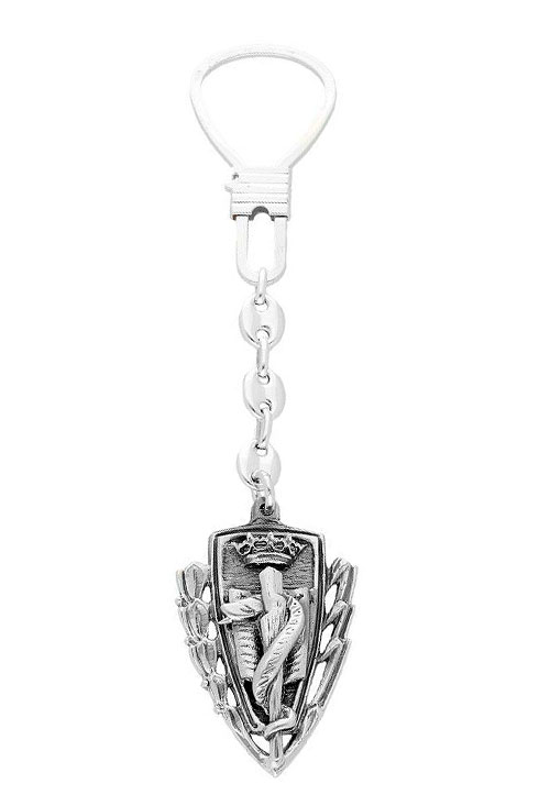 llavero plata de ley carrera de medicina vista completa