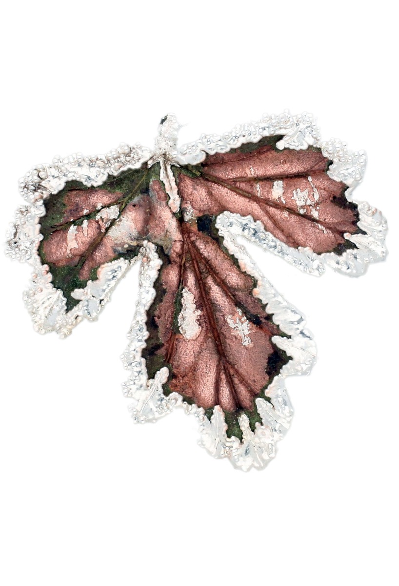 hoja natural de geranio chapada oro y bronce fotografia frontal 270_GERANEO-BA-4-4