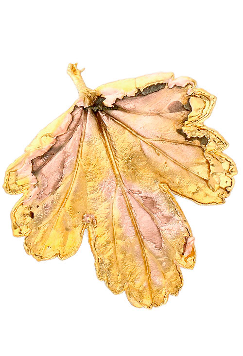 hoja natural de grosella chapada en oro foto frontal 270_GROSELLA-BA-4-4