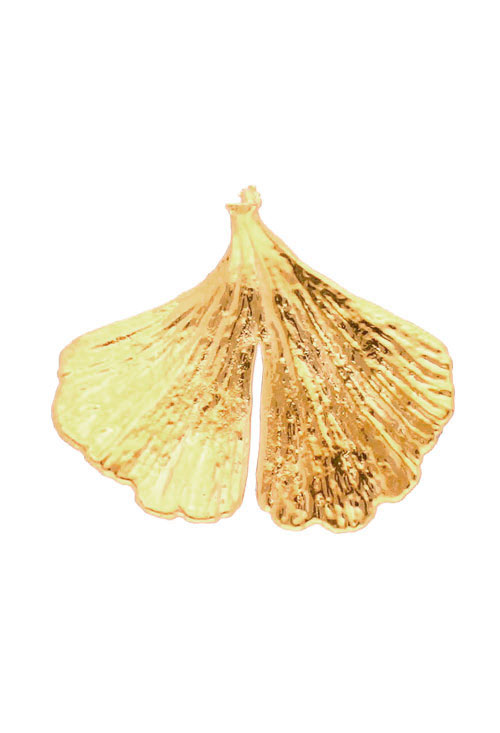 Colgante hoja natural biloba chapado en oro 270_BILOBA-A-4-4