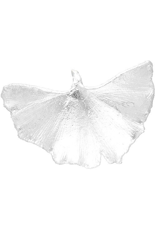 Colgante hoja natural biloba chapado en plata 270_BILOBA-P-6-6