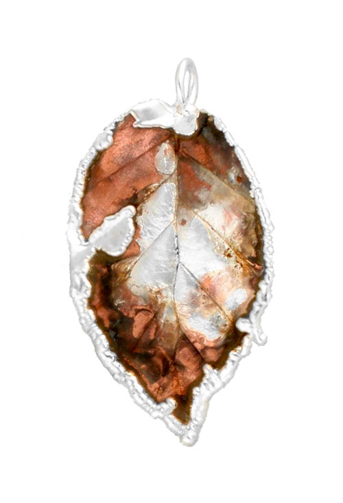 Colgante hoja natural de haya bañada en oro 270_HAYA-BP-3-3