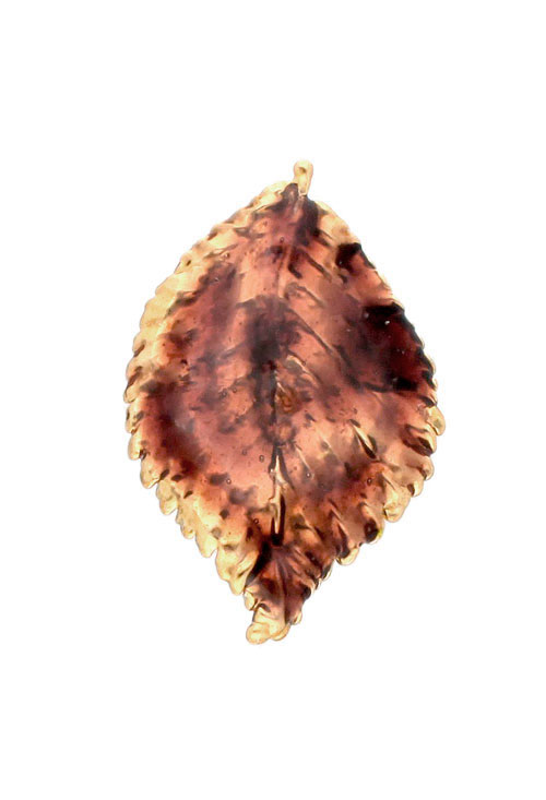 Colgante hoja natural de rosal bañada en oro esmalte marrón 270_ROSA-A-3-3-EM