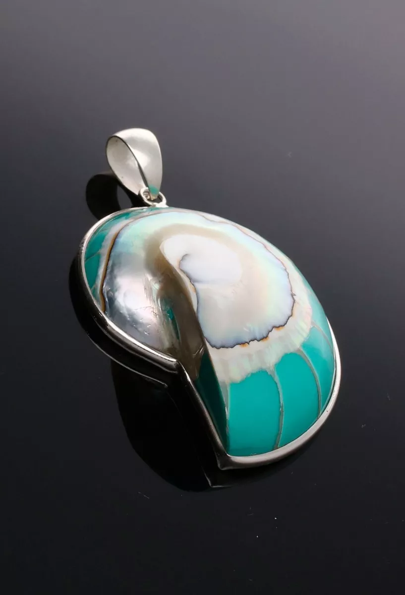 Colgante plata y resina tipo dije caracola 297_825920 fondo negro