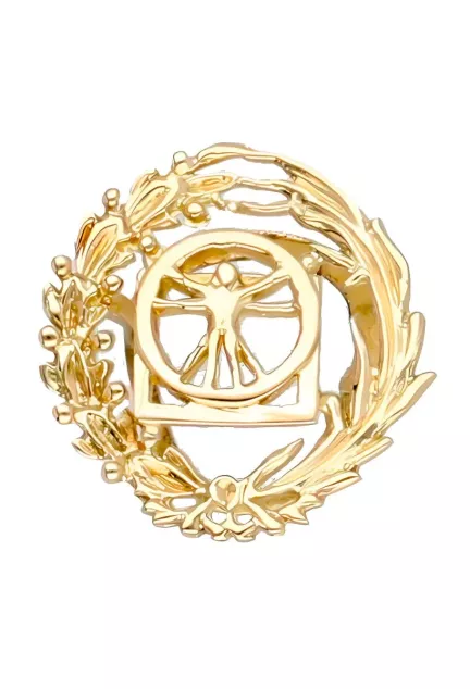 Insignia de oro 18K bellas artes 028_I-0001-BART