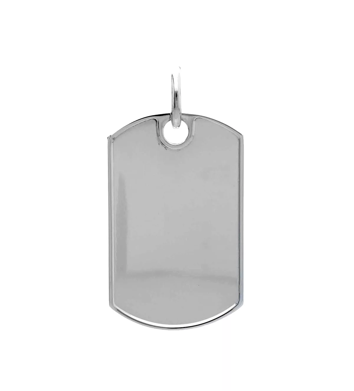 chapa de plata tipo militar foto panel