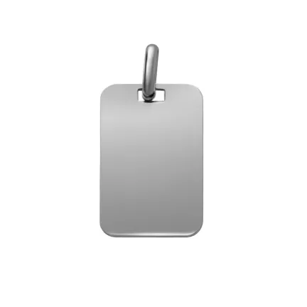 chapa de identidad de plata toma frontal