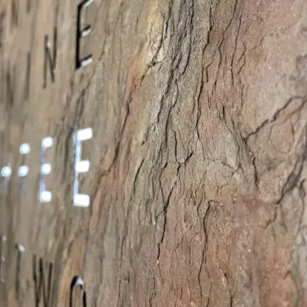 Qlocktwo Earth 180 Glintscape tamaño 180x180 cms 4